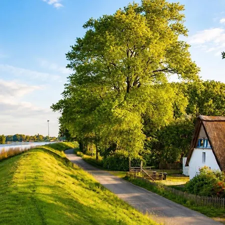 Idylisches An Der Oste - Direkt Am Deich, Flussblick, 2000 Qm Garten Mit Teich, Hundefreundlich, 7 Gaeste