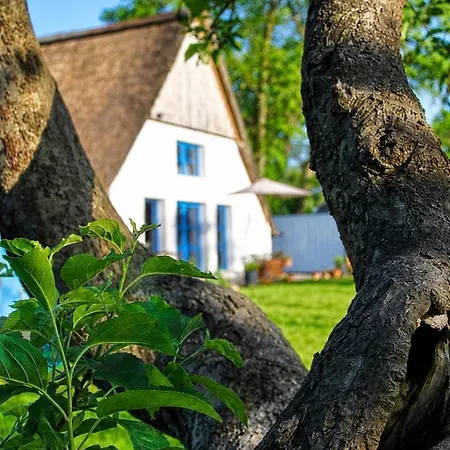 Idylisches An Der Oste - Direkt Am Deich, Flussblick, 2000 Qm Garten Mit Teich, Hundefreundlich, 7 Gaeste Oberndorf (Lower-Saxony)